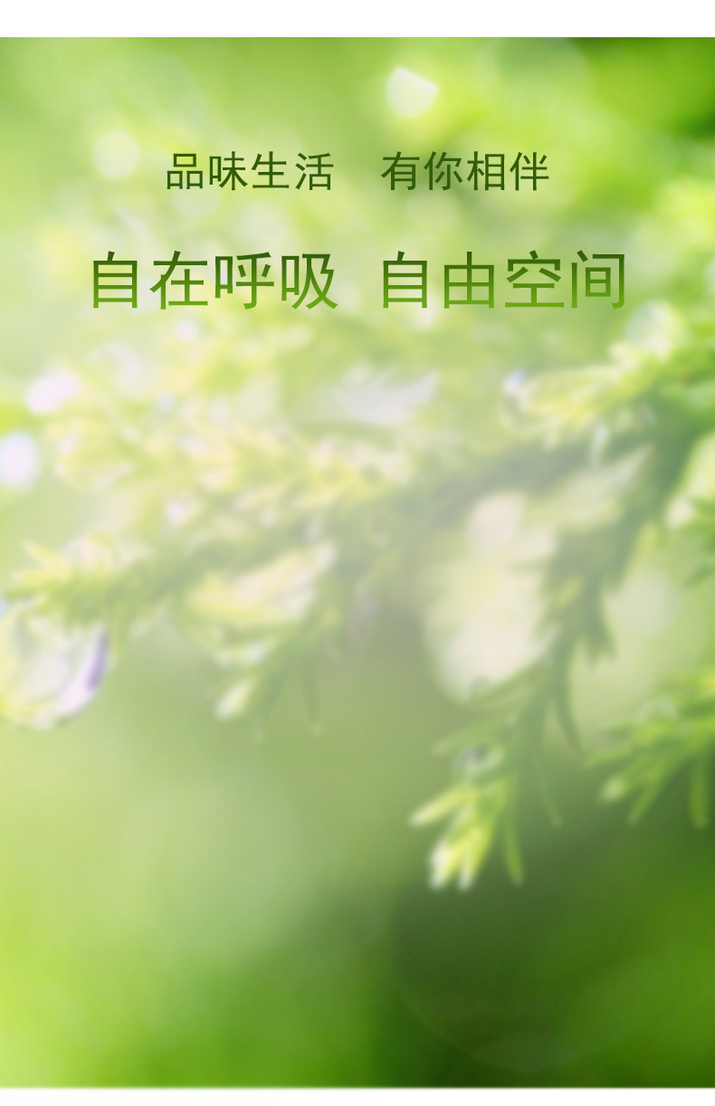 1557565913441954.jpg 空氣清新劑_06.jpg